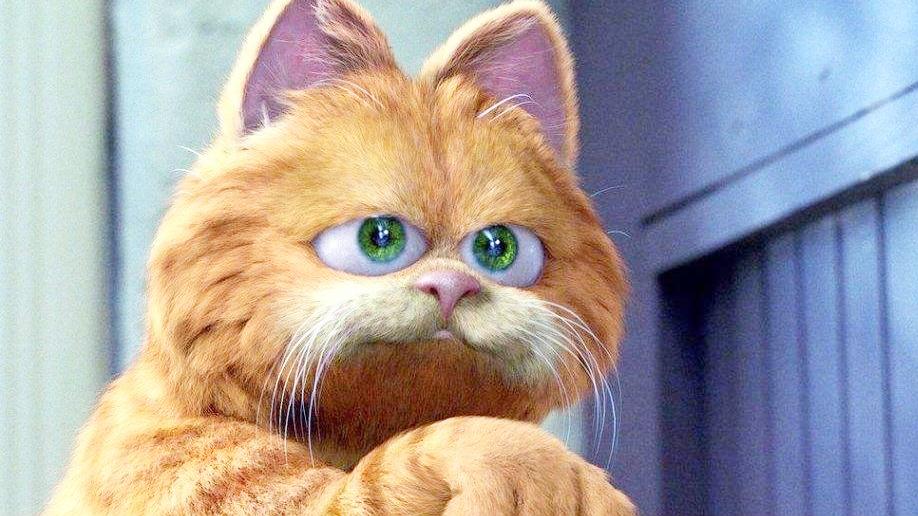 贱兮兮的萌宠加菲猫,快来抱走这只肥猫