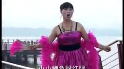 黑毛张明侠江涛民间小调视频在线观看 西瓜视频