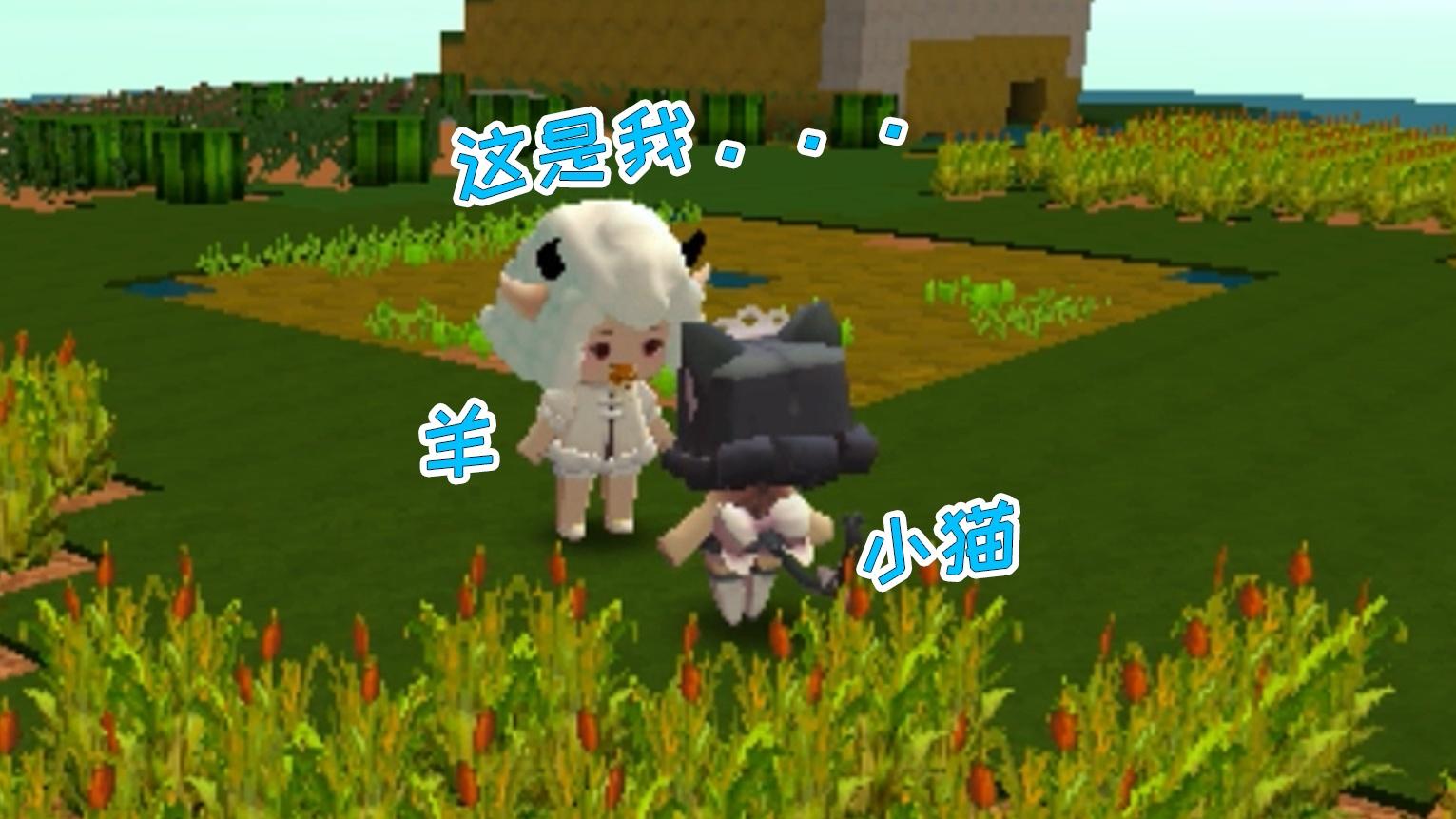 迷你世界橙子姐姐