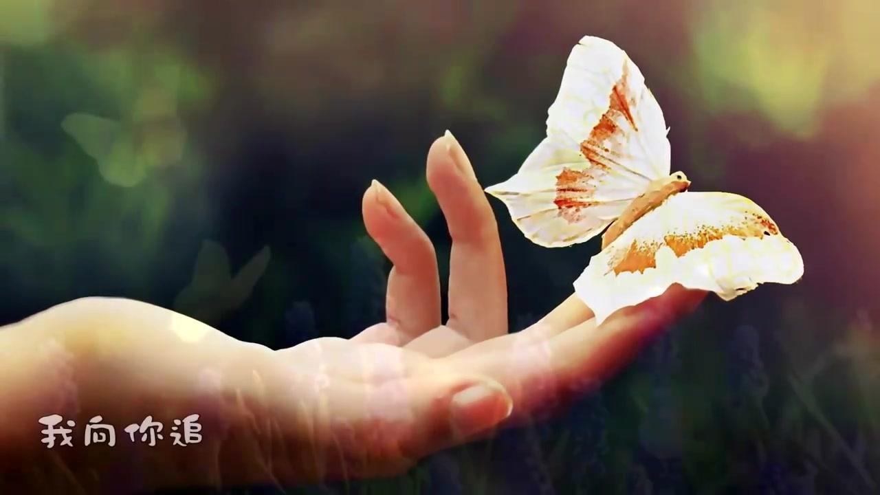 《雨蝶》李翊君