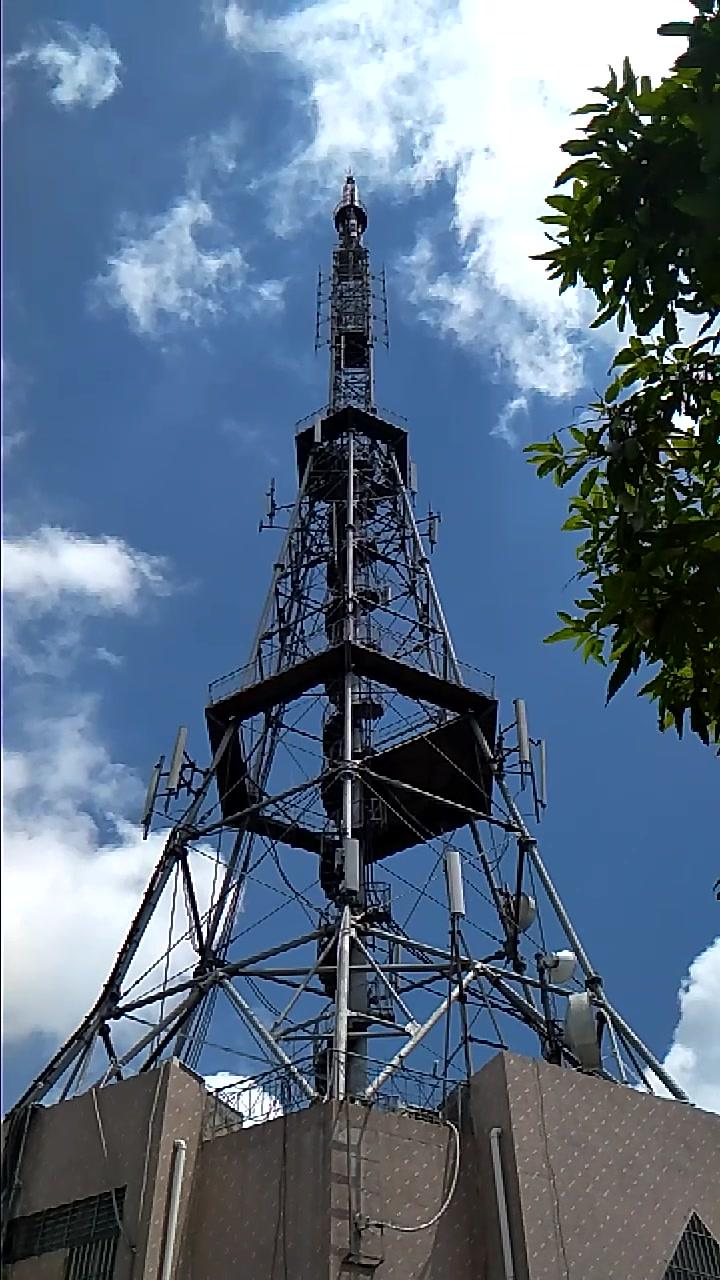 许多人登上去,脚都会抖,这塔就是罗定云桂山电视发射台
