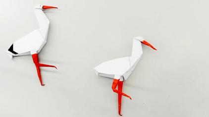 折纸丹顶鹤视频在线观看 - 西瓜视频