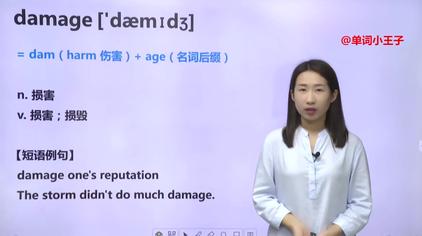 Damage是什么意思中文 西瓜视频