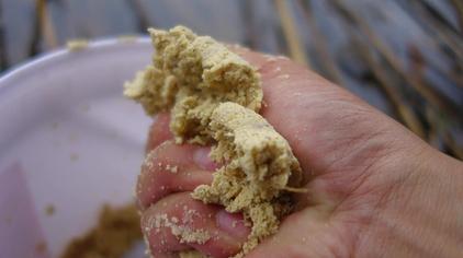 豆渣做鲢鳙饵料 - 西瓜视频