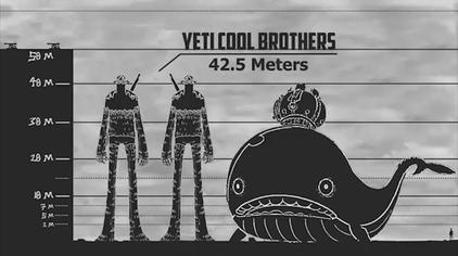 象主海贼王在第几集 西瓜视频