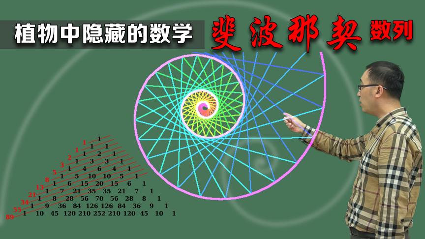你知道植物中隐藏的数学吗？李永乐老师讲神奇的斐波那契数列
