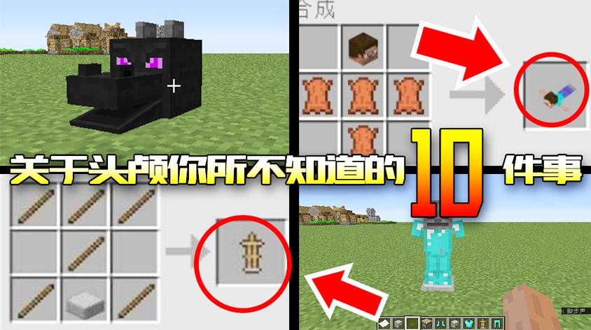 Minecraft不知道的十件事视频在线观看 西瓜视频