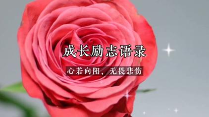 适合发朋友圈的成长句子 - 西瓜视频