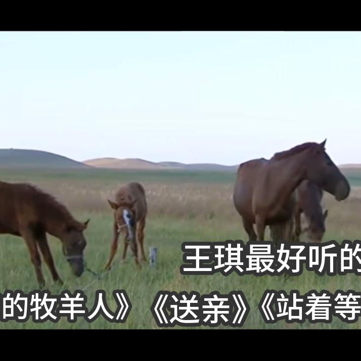 《可可托海的牧羊人》《送亲》《站着等你三千年》王琪最好听的歌