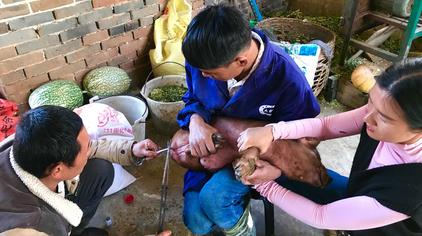 老阉猪匠 - 西瓜视频