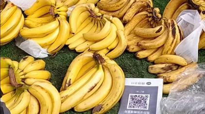 8619次观看·1年前【scp】confinement 动画全集中文字幕-5.