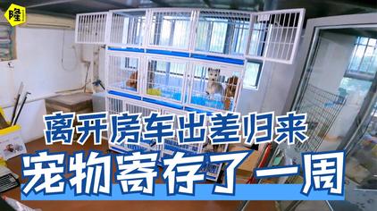 月隆碎碎念视频在线观看 - 西瓜视频