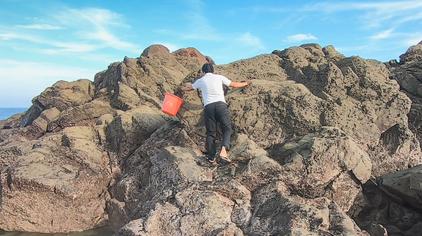 7万次观看·1年前05:55大汉小敏赶海记这片沙滩海鲜真多,赶海夫妻不到