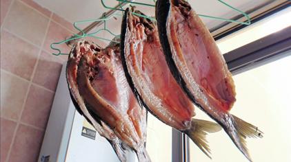 邋遢鱼的做法 - 西瓜视频