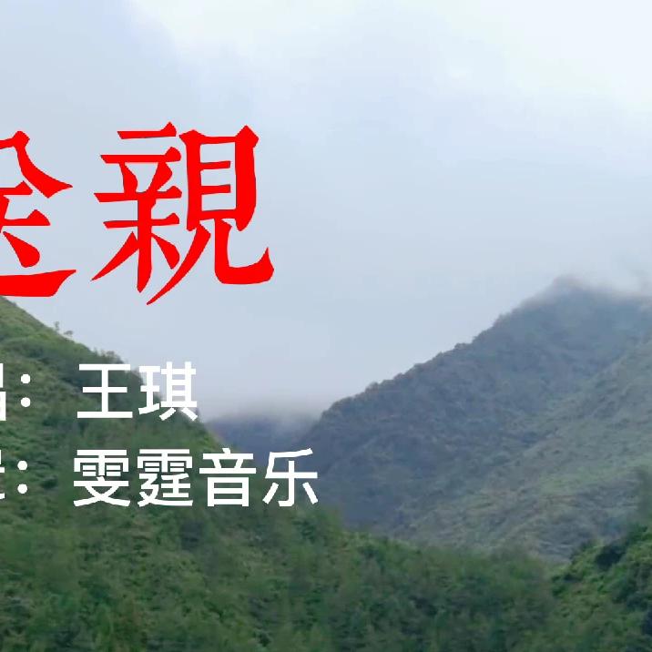 王琪《送亲》这是受了多大的伤才能唱出这样的天籁之音啊?