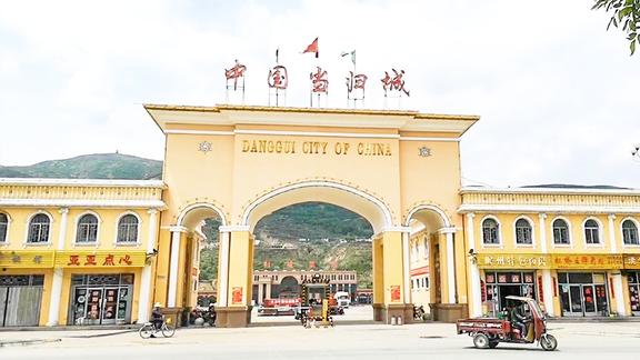 "中华当归甲天下,岷县当归甲中华"——中国当归城交易现场实录