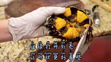 跪海胆 - 西瓜视频