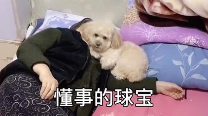 家有龙肉球和爸爸 西瓜视频