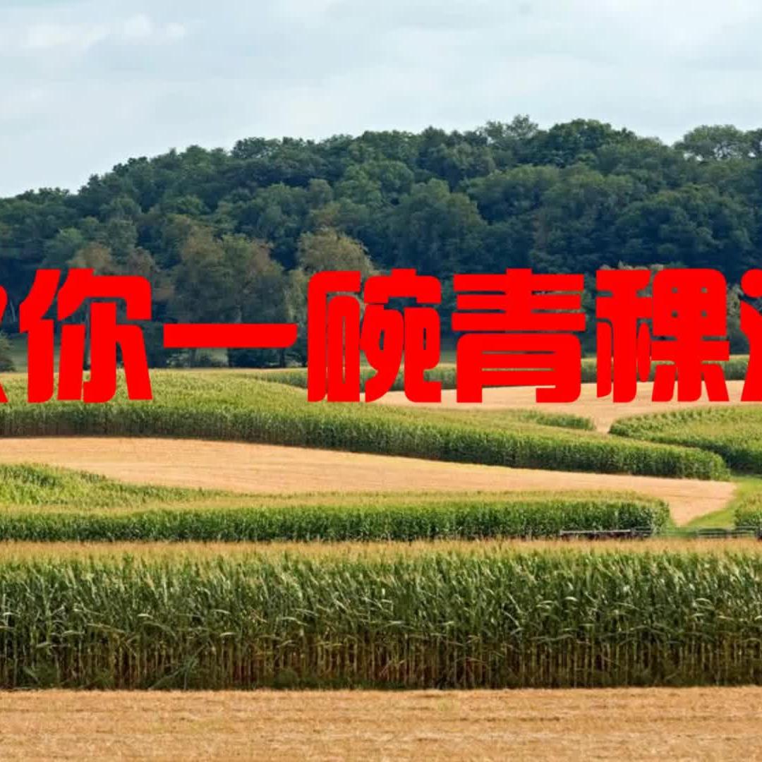 敬你一碗青稞酒 远方的好朋友《敬你一碗青稞酒》简单易学舞蹈