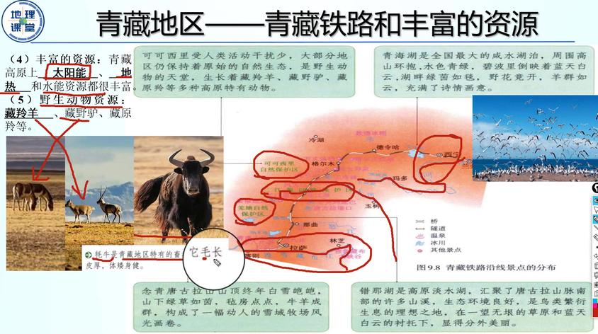 4 青藏地区 青藏铁路 太阳能 地热能 水能及动物资源 西瓜视频