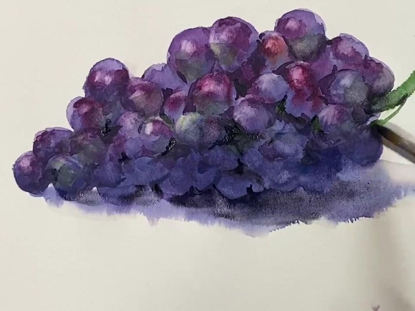 水彩画师柴崎春通5分钟教会你如何画葡萄 简单易学的水彩画 西瓜视频