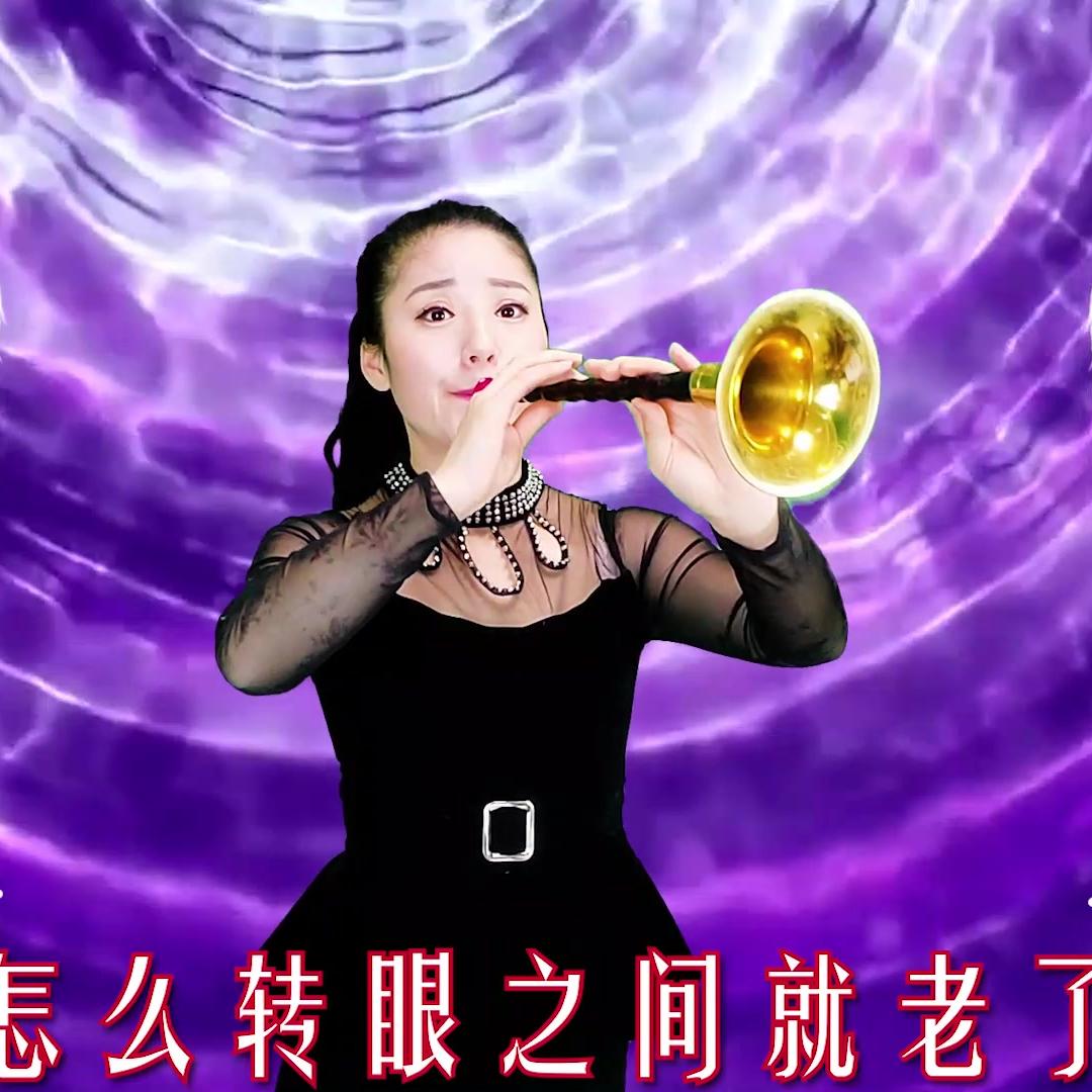 时间匆匆《一晃就老了》DJ音乐 唢呐演奏 悠悠动听!